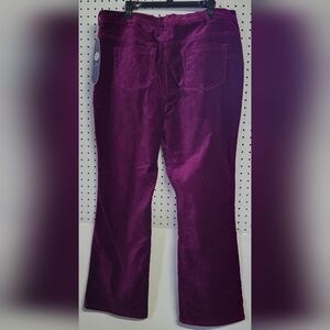Diane Gilman Womens 20w Velveteen Stretch Pants Aura Purple NWT